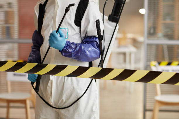 Professional Sewage Cleanup technician working in Brokaw, WI